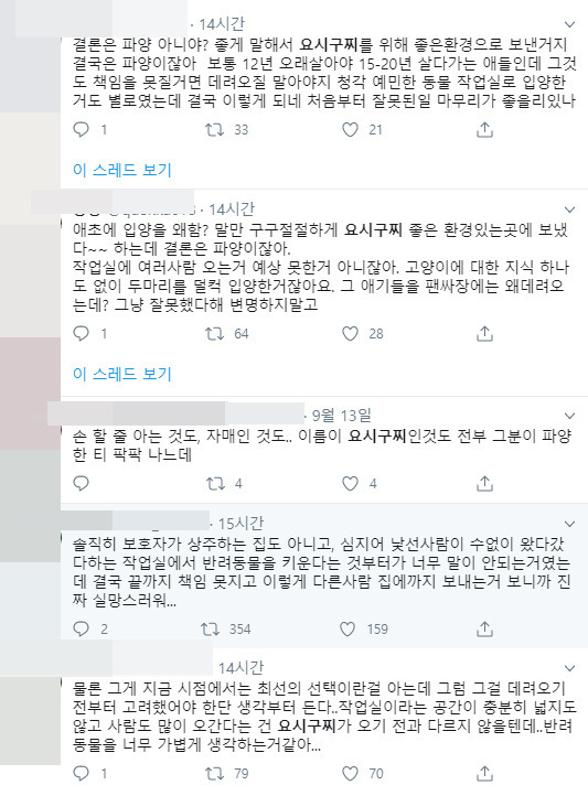 키우던 고양이 파양한 연예인 | 인스티즈