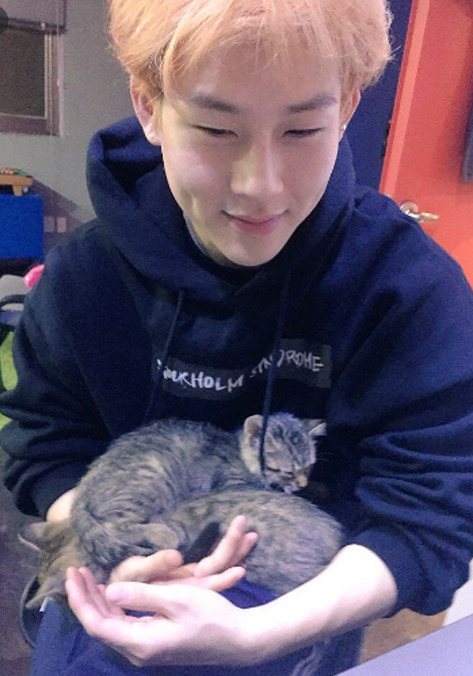 키우던 고양이 파양한 연예인 | 인스티즈