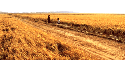[영화] 살인의 추억 (Memories Of Murder, 2003) | 인스티즈