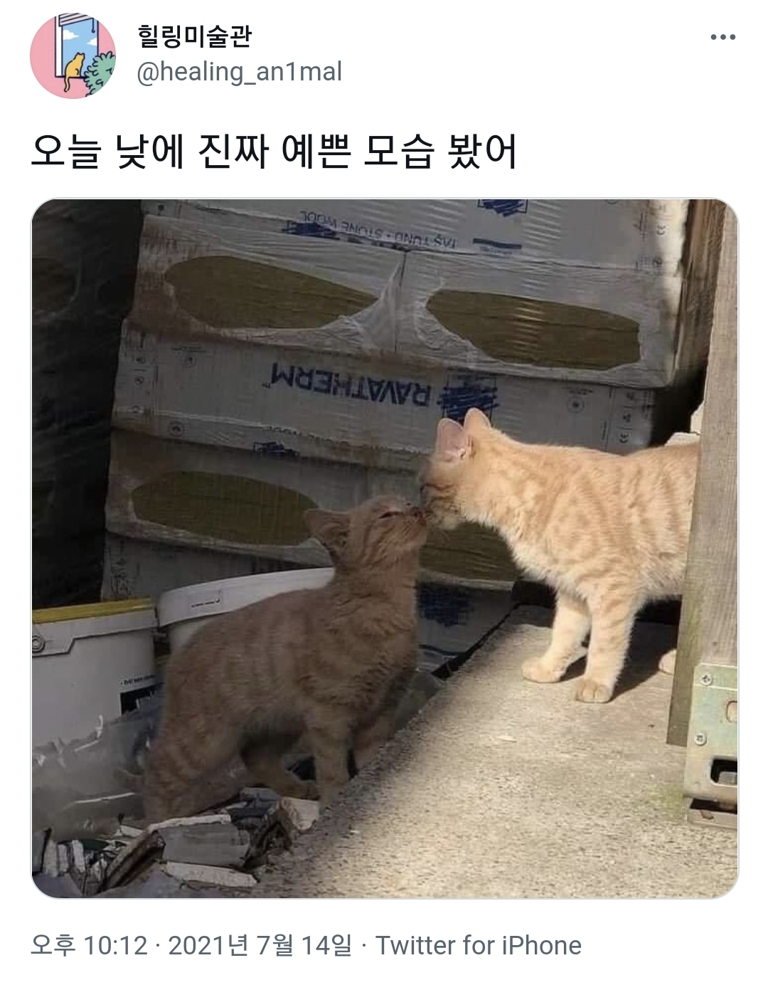 오늘 낮에 진짜 예쁜 모습 봤어 | 인스티즈