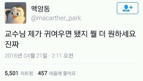 짤, 짤, 짤, 학생, 직장인, 덕후들을 위한 짤 모음집 | 인스티즈