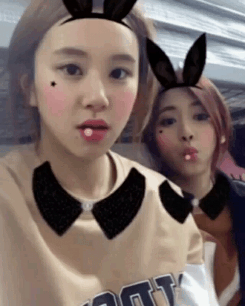 [트와이스] 채영이 데뷔전부터 최근까지 머리길이 변화 | 인스티즈