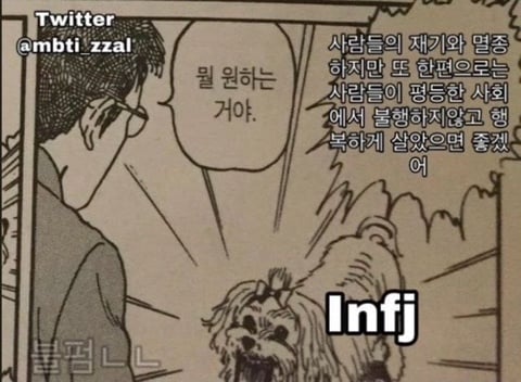 Infj 관찰 달글 (feat. Infj는 어떤 인간인가?) | 인스티즈