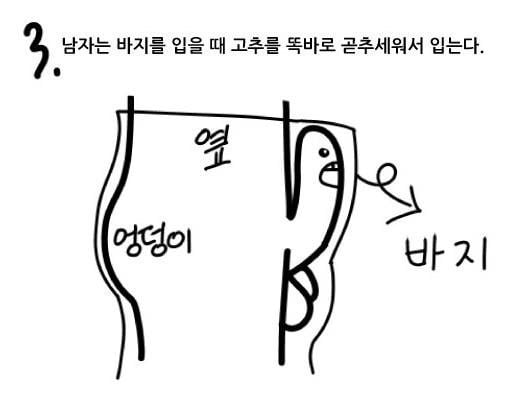 여자는 잘 모르는 꼬추의 비밀 | 인스티즈