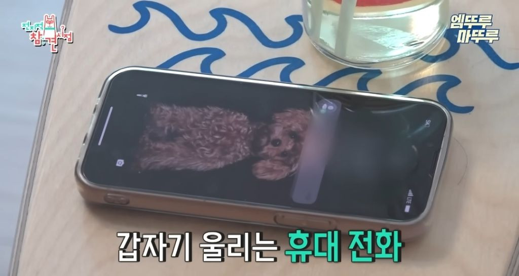 찐 ISFP라는 엄현경의 귀찮음 수준 | 인스티즈