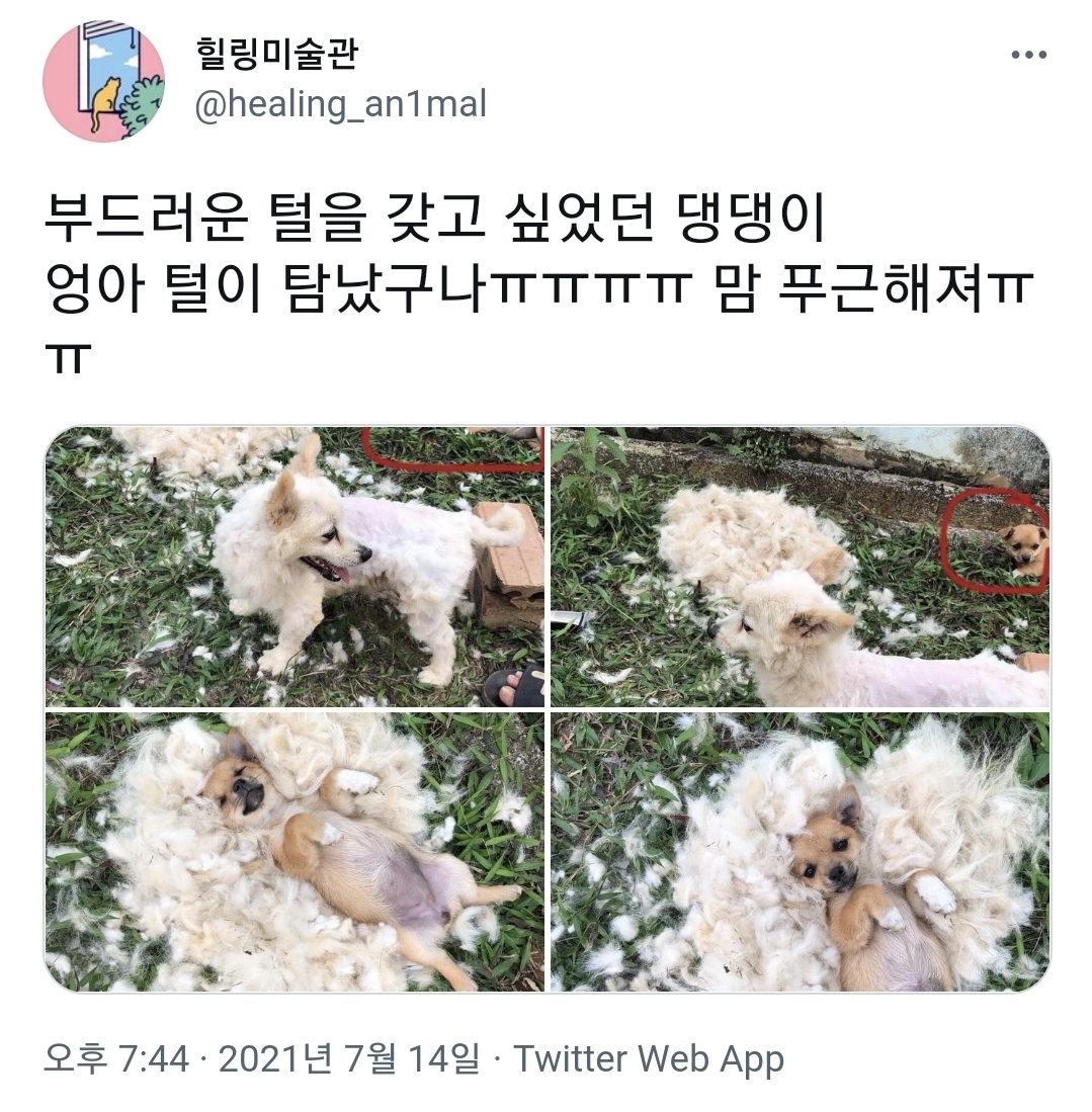 오늘 낮에 진짜 예쁜 모습 봤어 | 인스티즈