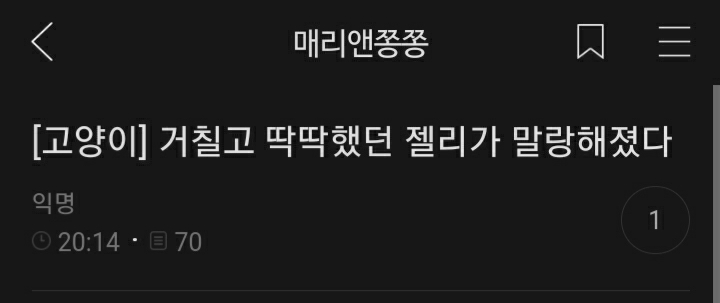 여시들이 사는 소소한 이야기(동물캡쳐 많음 ㅋ) | 인스티즈