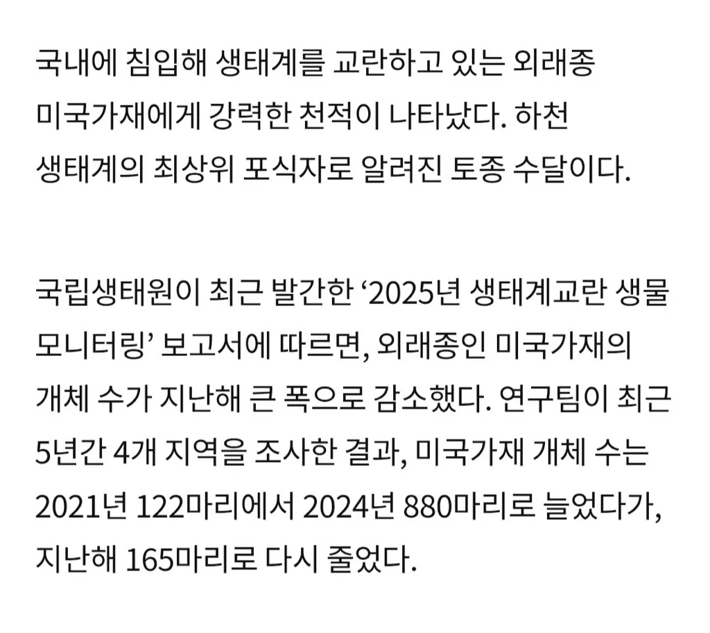 우리나라 생태계 교란하던 미국가재 근황 | 인스티즈