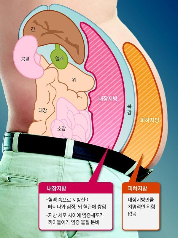 찌기 시작하면 위험한 살.jpgif | 인스티즈
