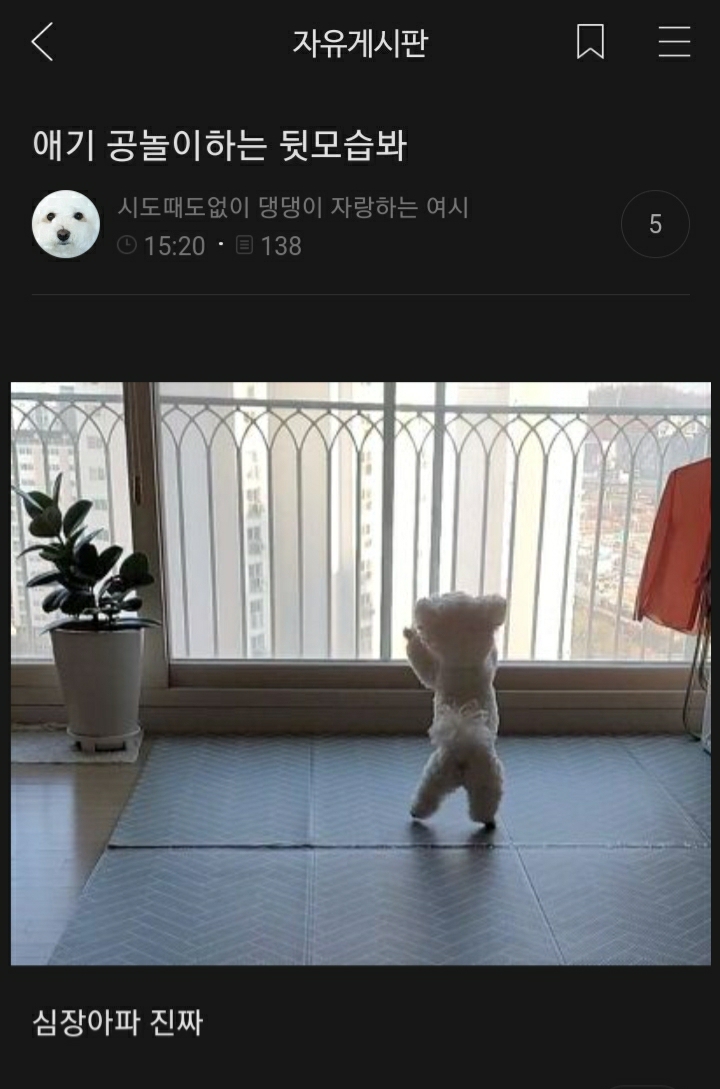 여시들이 사는 소소한 이야기(동물캡쳐 많음 ㅋ) | 인스티즈