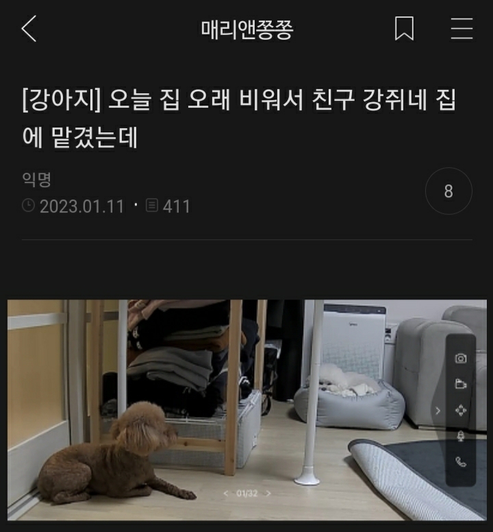 여시들이 사는 소소한 이야기(동물캡쳐 많음 ㅋ) | 인스티즈