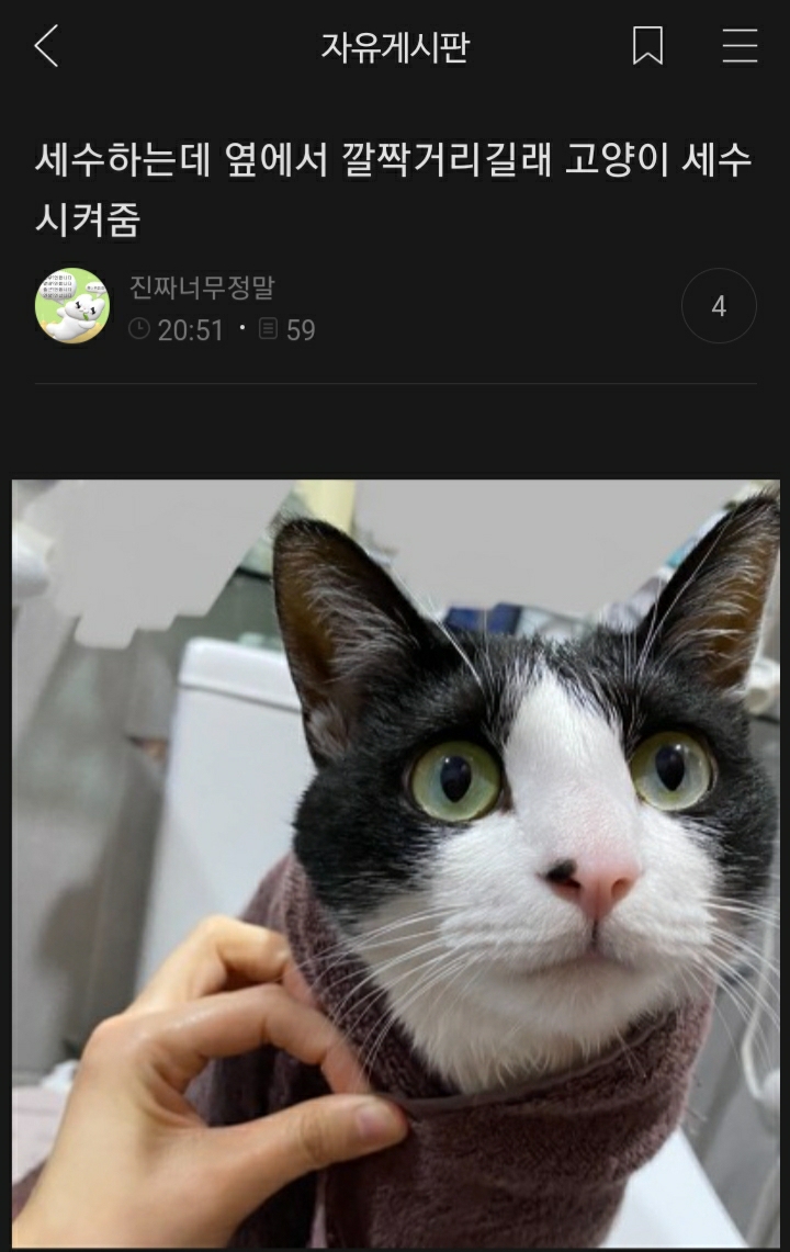 여시들이 사는 소소한 이야기(동물캡쳐 많음 ㅋ) | 인스티즈