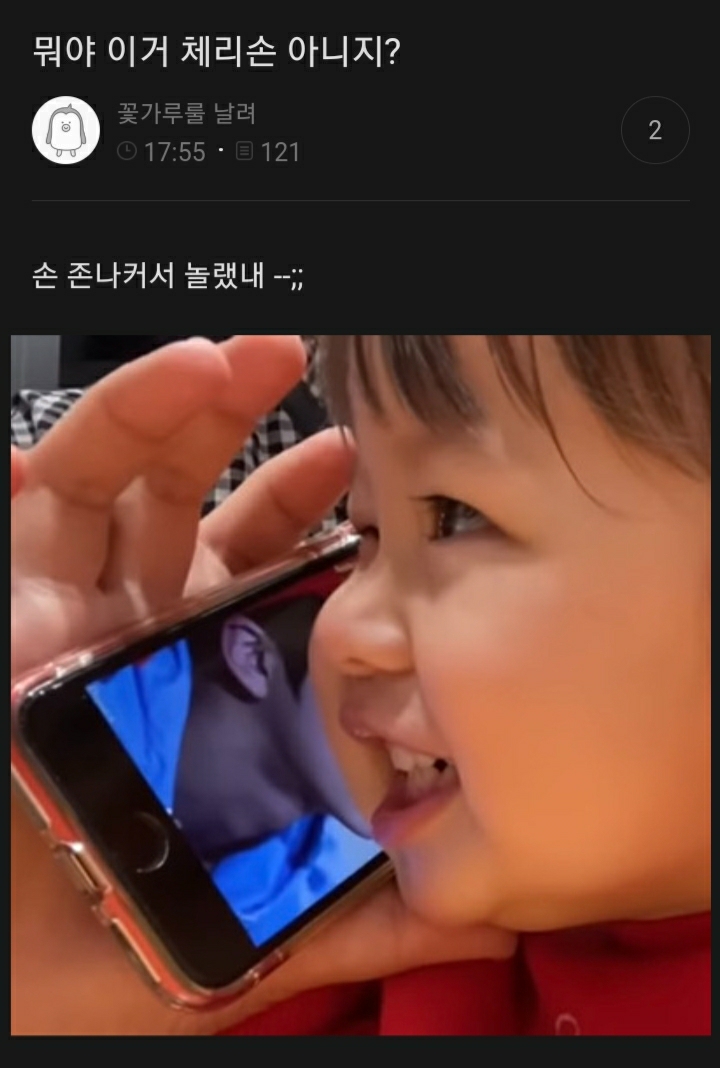 여시들이 사는 소소한 이야기(동물캡쳐 많음 ㅋ) | 인스티즈