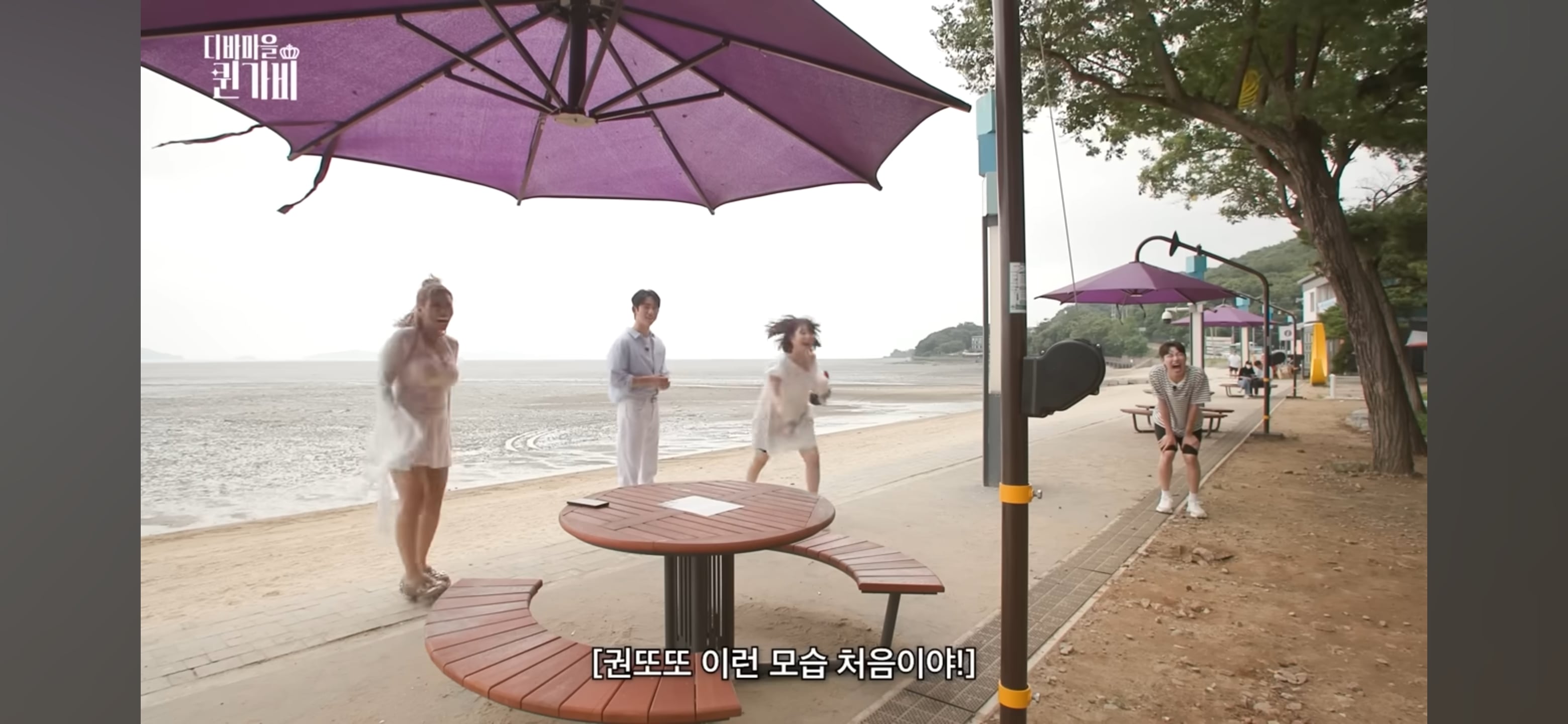 [디바마을 퀸가비] 꿈에서 만났던 이상형을 실제로 만나게 된 테토녀 권또또 | 인스티즈