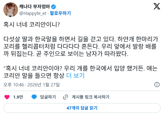 미국에서 진도 입양한 사람들 이야기보면 산책하다가 동아시아여자 보면 빤히 쳐다보는 경우 많다함 | 인스티즈