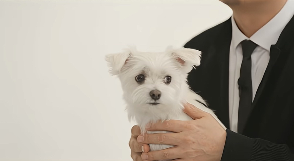 유퀴즈 나오는 윤택이 입양한 반려견 달몽이 | 인스티즈