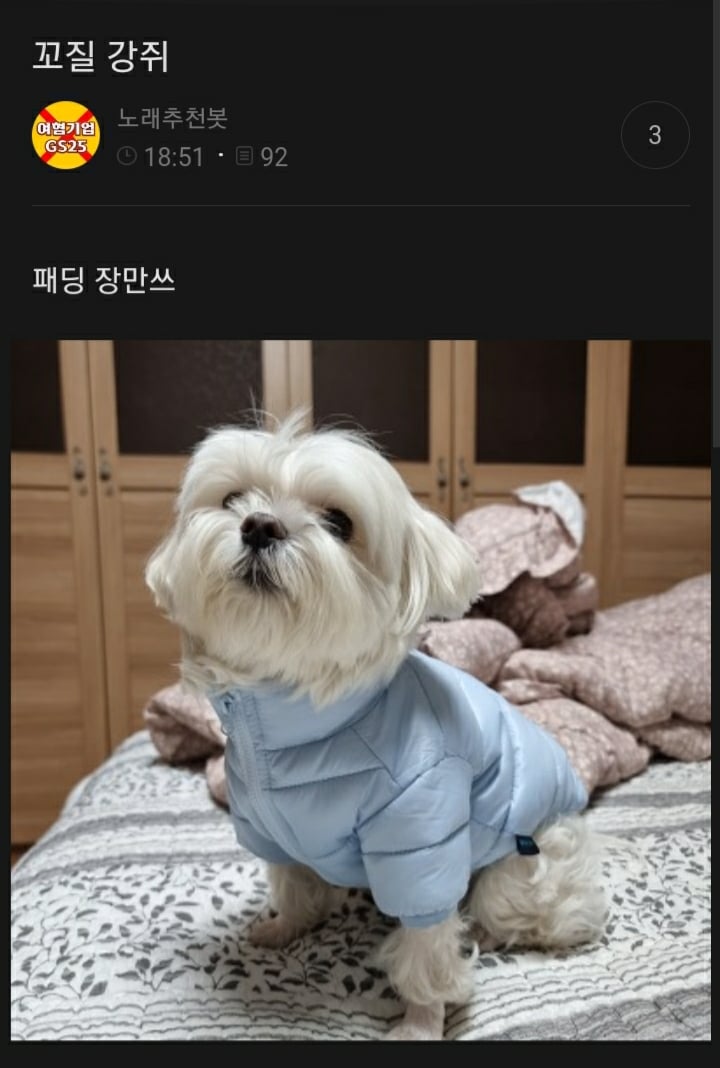여시들이 사는 소소한 이야기(동물캡쳐 많음 ㅋ) | 인스티즈