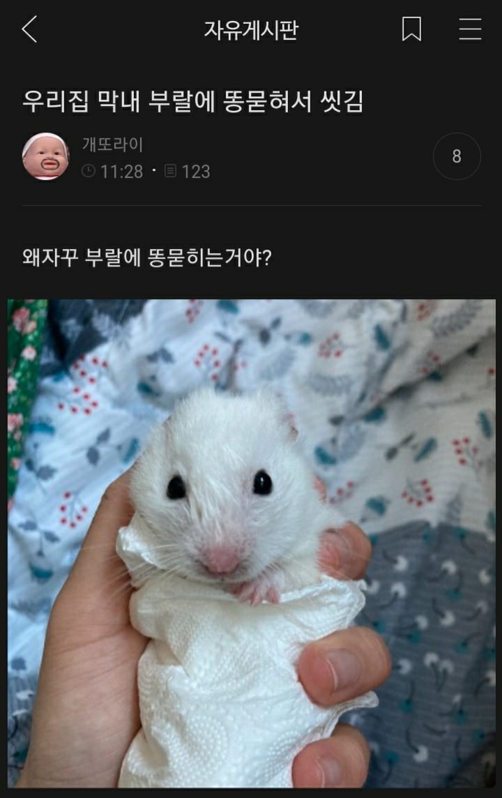 여시들이 사는 소소한 이야기(동물캡쳐 많음 ㅋ) | 인스티즈
