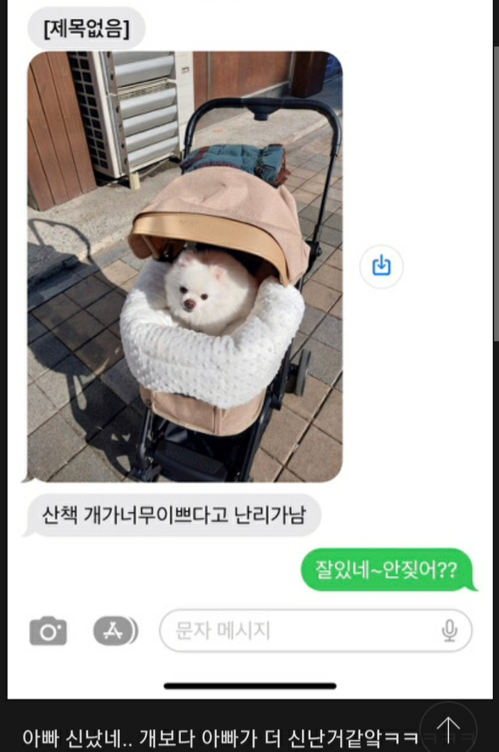 여시들이 사는 소소한 이야기(동물캡쳐 많음 ㅋ) | 인스티즈