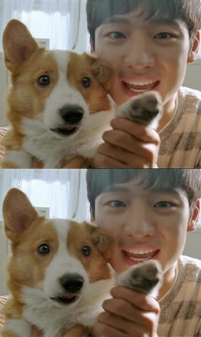 나는 아직 좋아하는 남친의 마음이 식어 이별 통보를 받는 과정 | 인스티즈