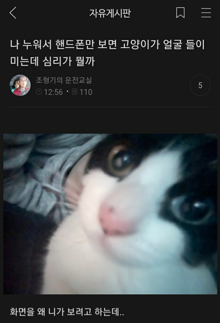 여시들이 사는 소소한 이야기(동물캡쳐 많음 ㅋ) | 인스티즈