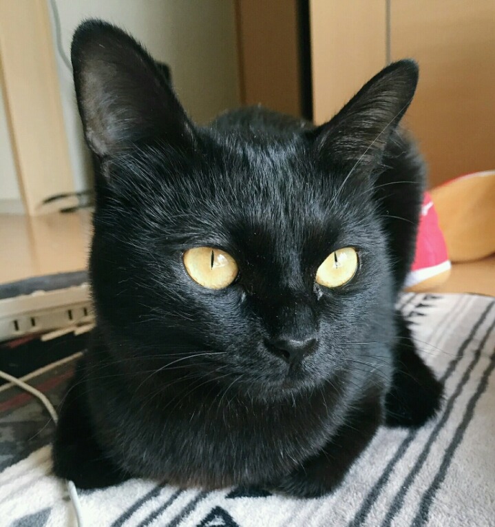 사람의 인성은 사소한 행동 하나에서 판단되기도 한다.jpg | 인스티즈