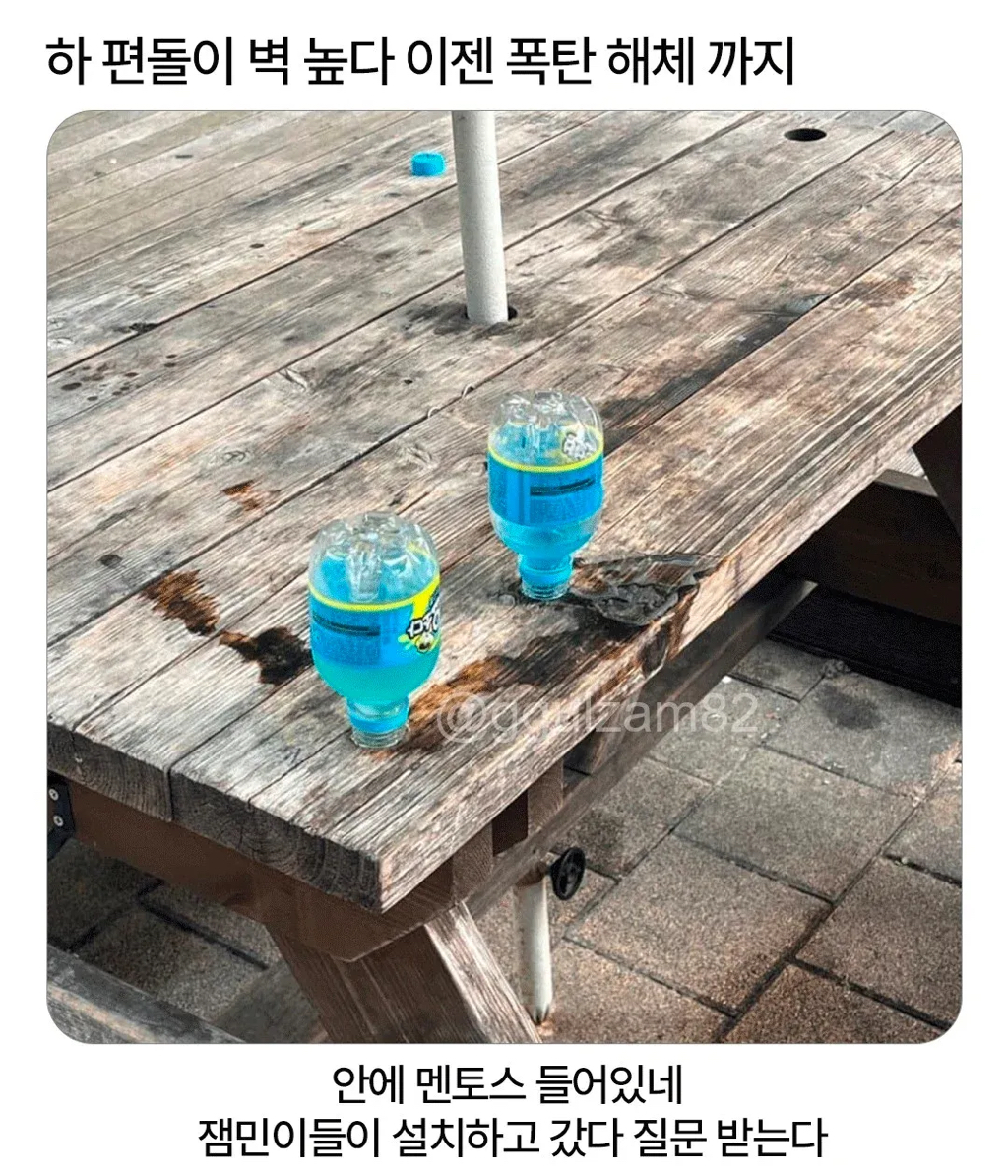 요즘 편돌이 난이도 근황 | 인스티즈