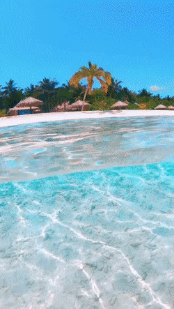 몰디브의 투명한 바다 | 인스티즈