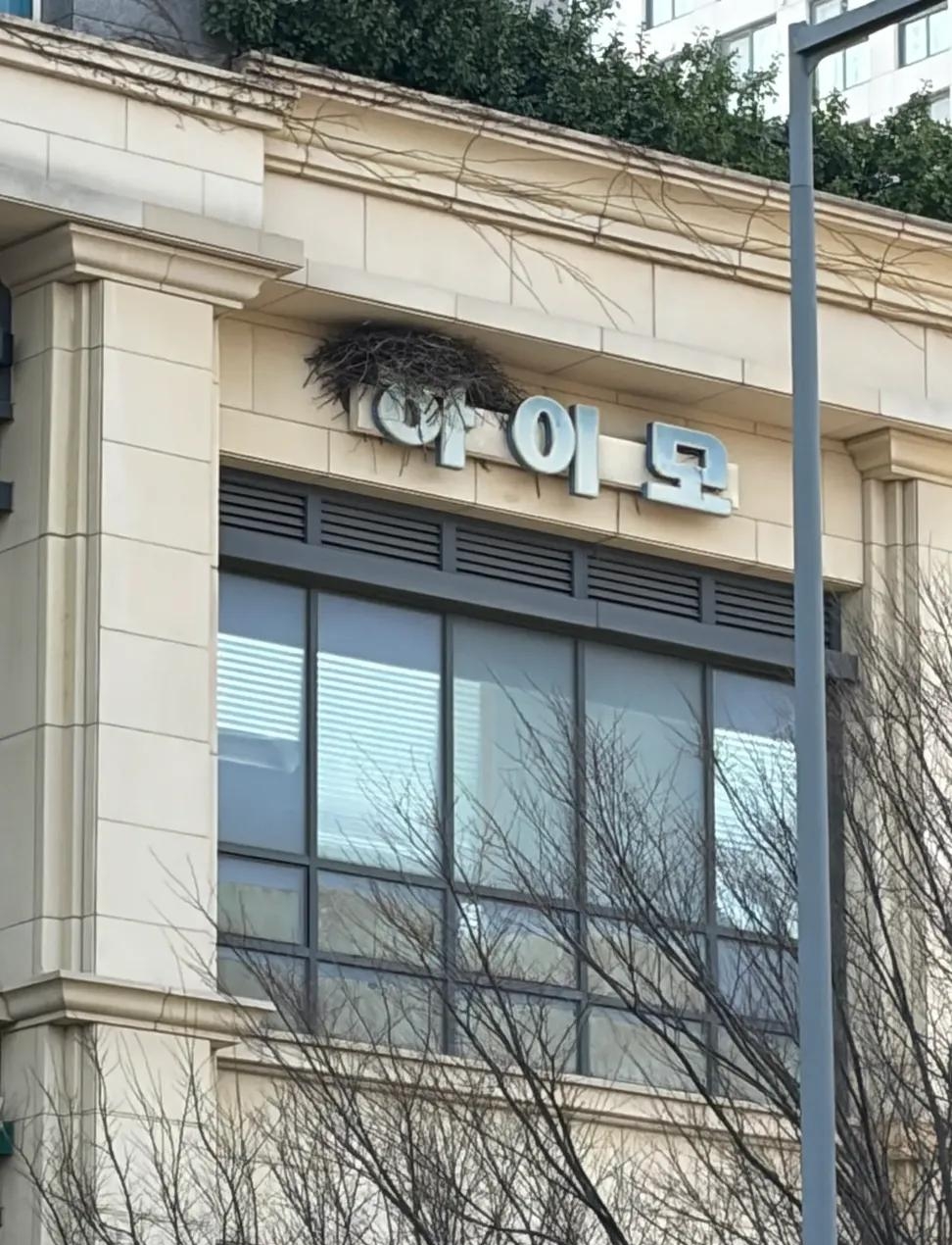 하이모 역대급 광고 | 인스티즈