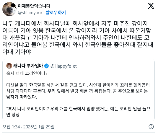 미국에서 진도 입양한 사람들 이야기보면 산책하다가 동아시아여자 보면 빤히 쳐다보는 경우 많다함 | 인스티즈