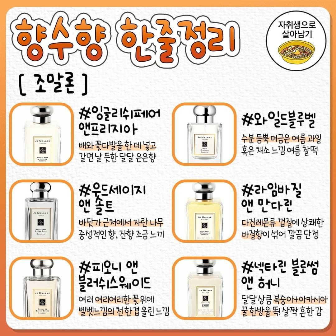 향수향 한줄정리.jpg | 인스티즈