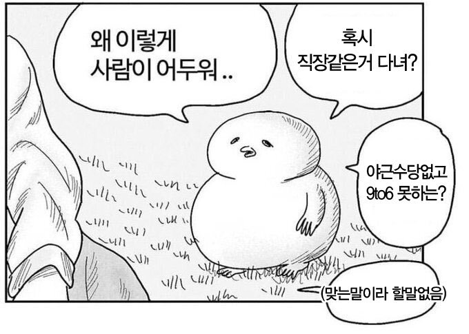 여시들이 사는 소소한 이야기(동물캡쳐 많음 ㅋ) | 인스티즈