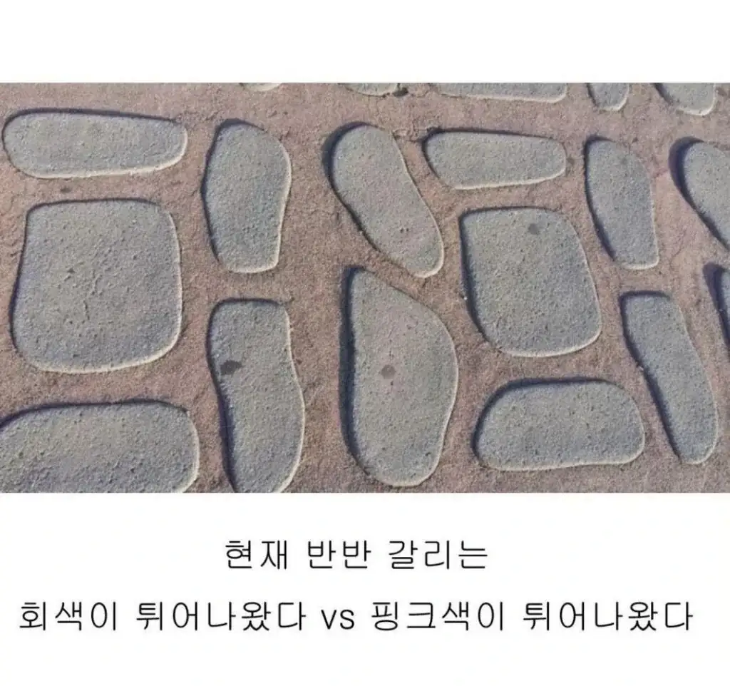 현재 반반 갈리는 사진 논란 | 인스티즈