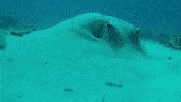 ❤️‍🔥💣섹스 판타지 말하면 환상 개박살내주는 여시들 모임 달글🥰🔪❤️‍🔥 | 인스티즈