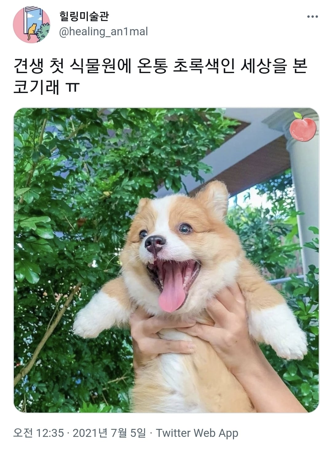 오늘 낮에 진짜 예쁜 모습 봤어 | 인스티즈