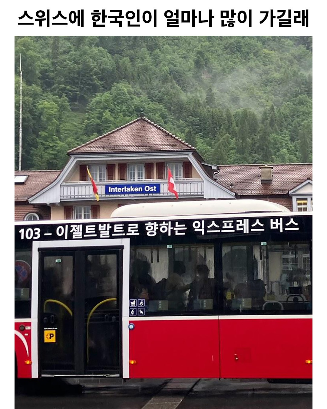스위스에 한국인이 얼마나 많이 가는지 알 수 있는 사진 | 인스티즈