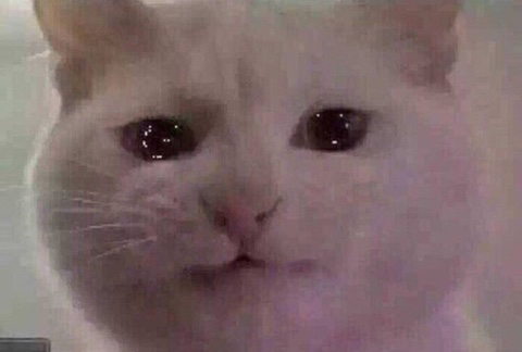 ❤️‍🔥💣섹스 판타지 말하면 환상 개박살내주는 여시들 모임 달글🥰🔪❤️‍🔥 | 인스티즈