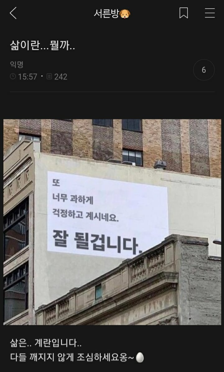 여시들이 사는 소소한 이야기(동물캡쳐 많음 ㅋ) | 인스티즈