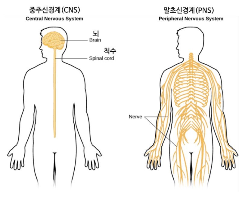 올해 가장 기대되는 신약 1위를 차지한 조현병 치료제 이야기.JPG | 인스티즈