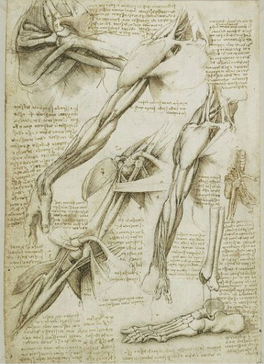 스압주의) 레오나르도 다빈치의 노트 필기와 숨겨진 비밀.jpg | 인스티즈