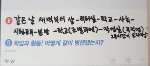연예인인줄 모르고 학교 대나무숲에 고백함 | 인스티즈
