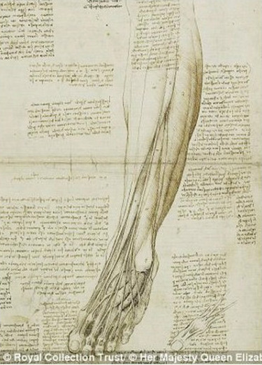 스압주의) 레오나르도 다빈치의 노트 필기와 숨겨진 비밀.jpg | 인스티즈