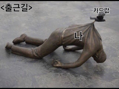 짤, 짤, 짤, 학생, 직장인, 덕후들을 위한 짤 모음집 | 인스티즈