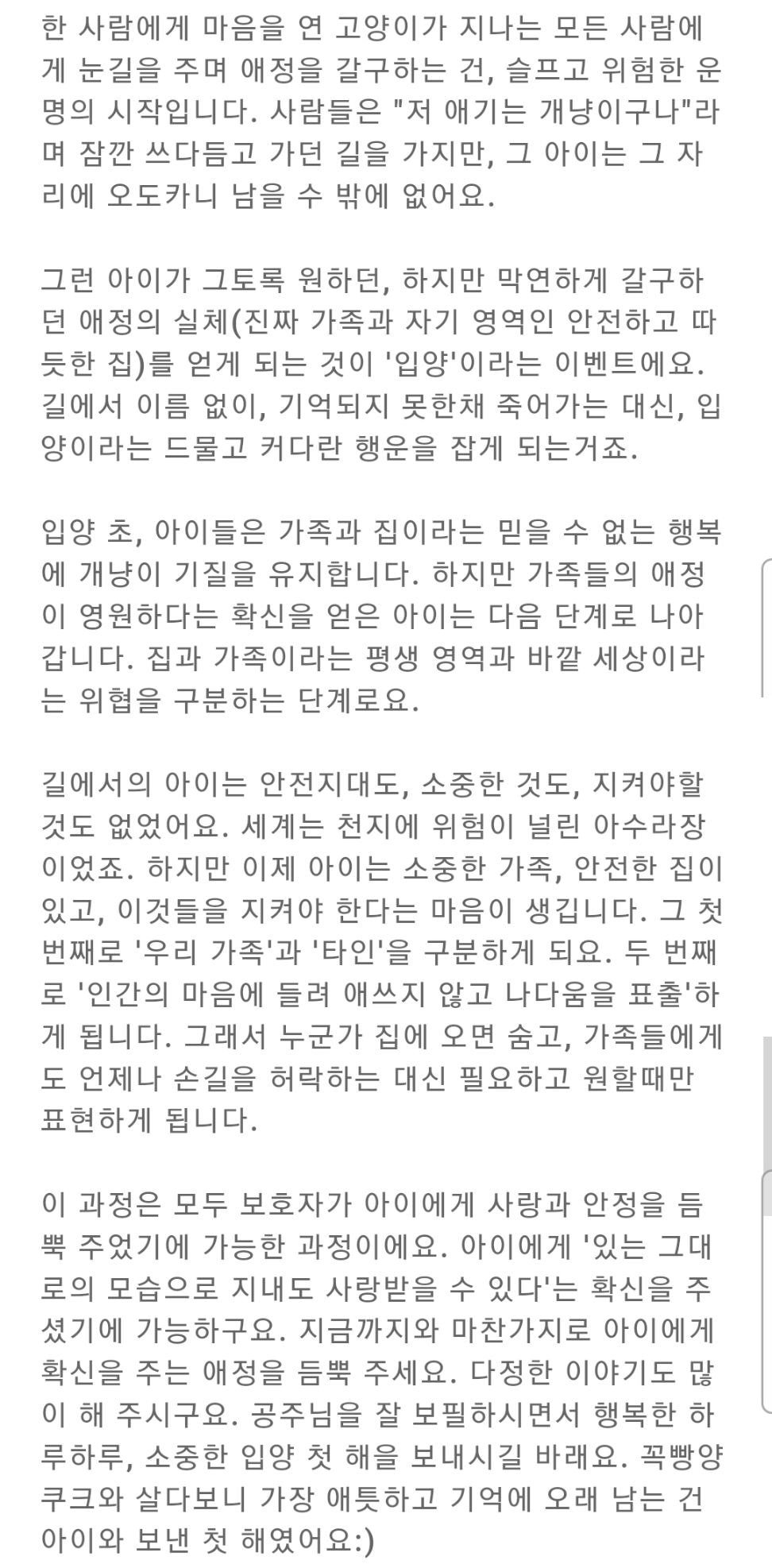 Q : 길냥이시절엔 애교넘쳤던 고양이가 입양후에 도도냥이가 됐어요 | 인스티즈