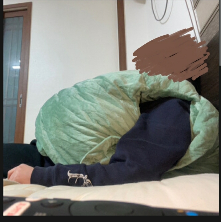 여시들이 사는 소소한 이야기(동물캡쳐 많음 ㅋ) | 인스티즈