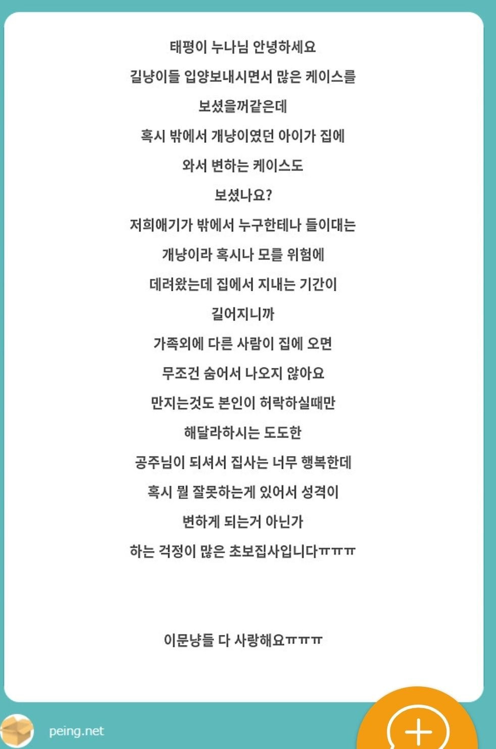Q : 길냥이시절엔 애교넘쳤던 고양이가 입양후에 도도냥이가 됐어요 | 인스티즈