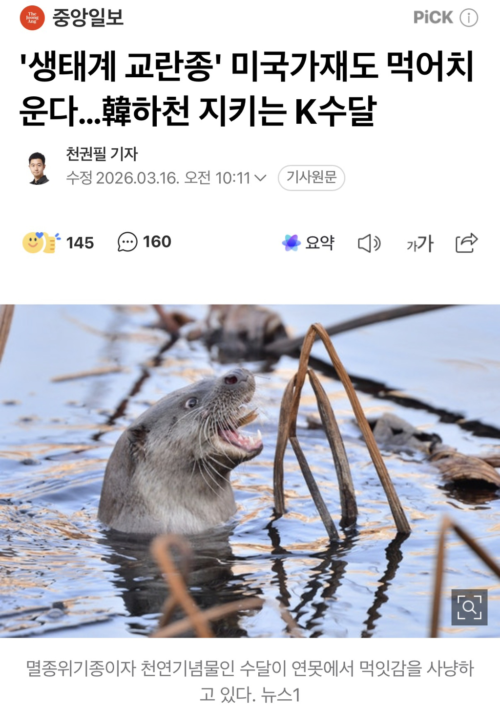 우리나라 생태계 교란하던 미국가재 근황 | 인스티즈