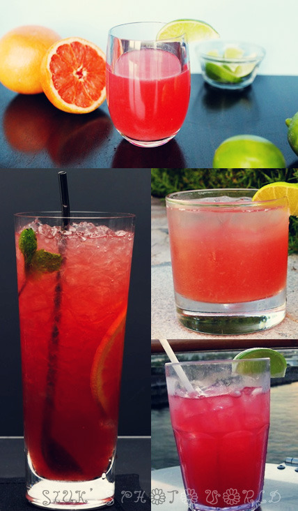 칵테일의 종류 | 인스티즈