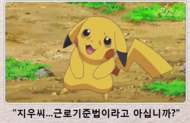 짤, 짤, 짤, 학생, 직장인, 덕후들을 위한 짤 모음집 | 인스티즈