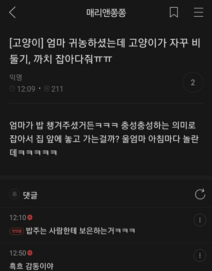 여시들이 사는 소소한 이야기(동물캡쳐 많음 ㅋ) | 인스티즈
